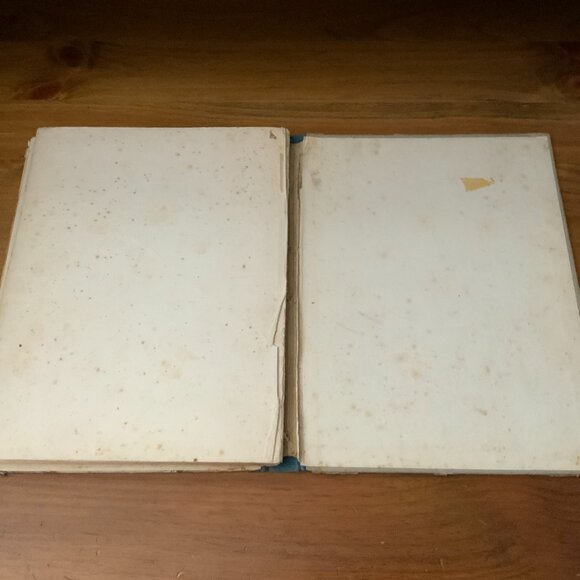 VINTAGE BOOK - 1932 - THE LIFE OF OUR LORD - SCRIPTURE STORIES FOR CHILDREN - Picture 9 of 12